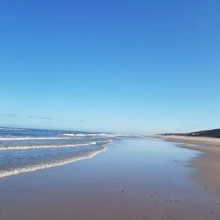 Hébergement de vacances 4 Star In Henne Henne Strand