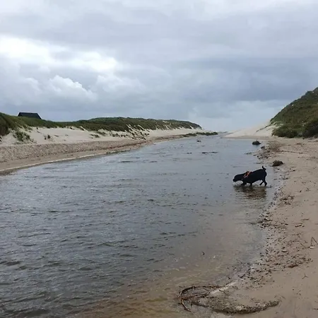 4 Star In Henne * Henne Strand